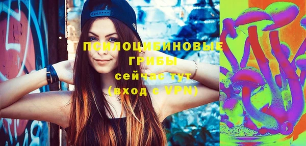 PSILOCYBIN Алексеевка