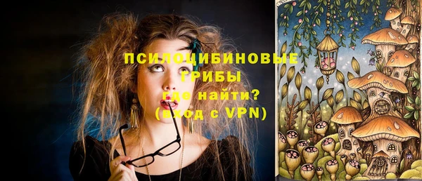 соль ск Алзамай