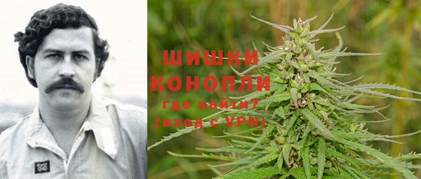 сатива Алексин